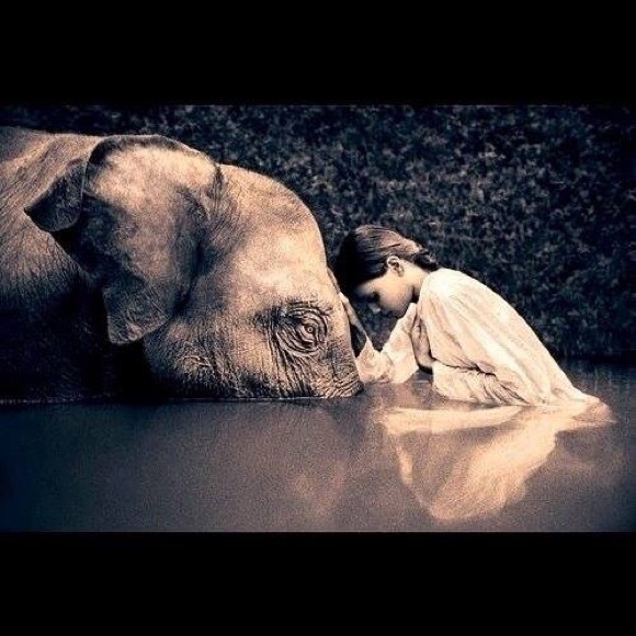 Meet your Posher, Heidi - Picture 5 of 12